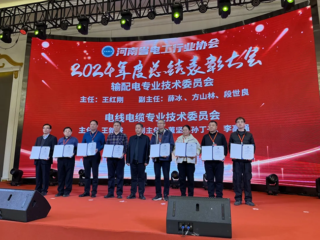 索凌電氣榮獲河南省電工行業(yè)雙優(yōu)稱號， 持續(xù)助力電力行業(yè)發(fā)展